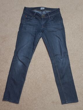 Vintage Hudson Jeans Skinny in Dark Blue
